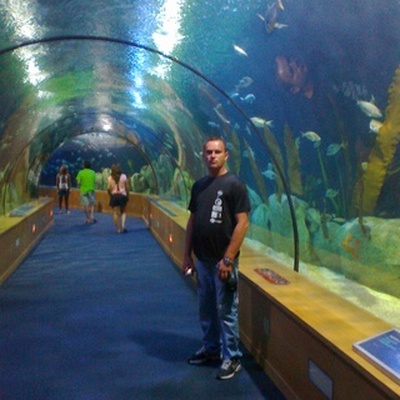 Ionut Vio